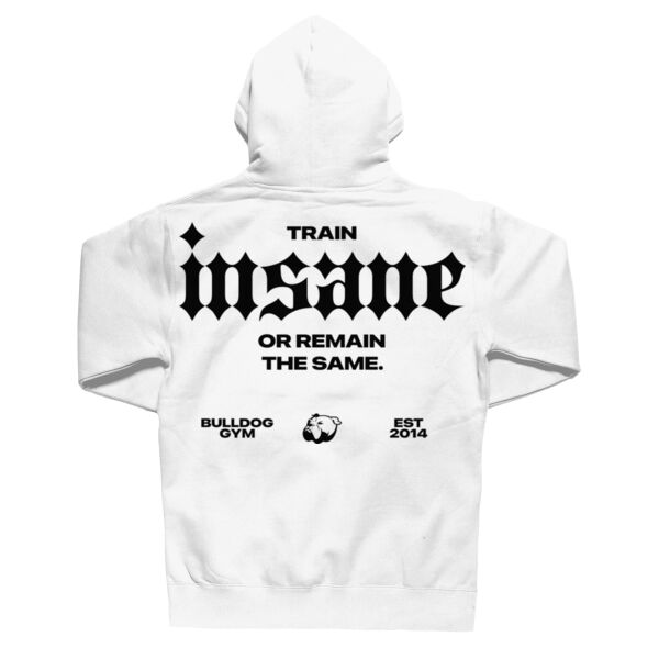 INSANE - HOODIE - $4AHNY2$ Thumbnail